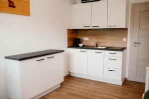 Kuhinja ili čajna kuhinja u objektu CLAUS RESCH APPARTEMENTS - E-Bike, Wandern, Minigolf, Familie, Urlaub an der Weinstraße