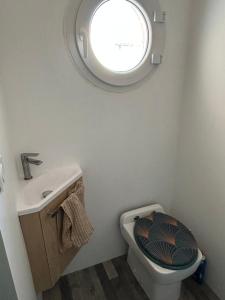 a bathroom with a toilet and a sink and a window at Sion sur locean - trois chambres in Saint-Hilaire-de-Riez +6 photos