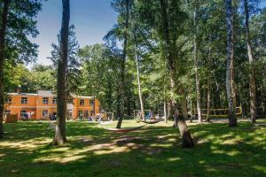a park with a swing set in the trees at WoMo Stellplatz am Ferienpark Bernstein in Dranske