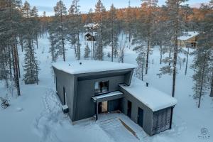 un edificio en la nieve en un bosque en Villa Suunnikas by Hilla Villas, en Ylläsjärvi