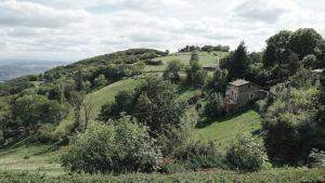 a house on top of a green hill with trees at Maison de village - Font Bénite in Saint-André-la-Côte