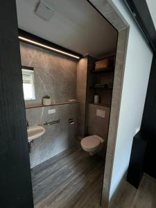 a bathroom with a toilet and a sink at Wohnung Albrecht Nummer 4 in Spalt