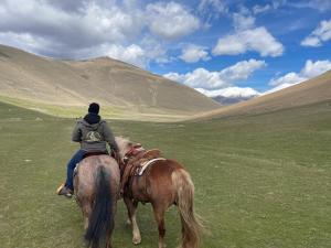 a person riding a horse in a field at Affittacamere Il Cuore Verde in Norcia