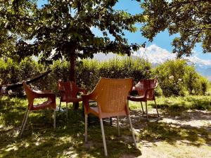 a group of chairs sitting under a tree at Shaheen Resort Hunza-SRH in Hunza Valley