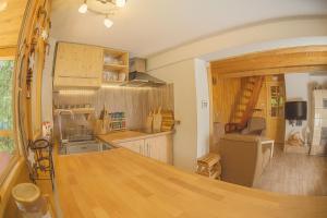 Kuchyňa alebo kuchynka v ubytovaní Ski Lake Cottage Krpáčovo + 37 fotografií