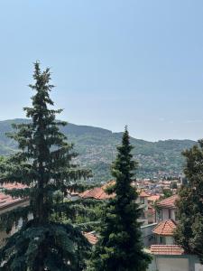 Nespecifikovaný výhled na hory nebo výhled na hory při pohledu z hostelu