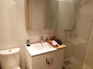 a bathroom with a toilet and a sink and a shower at Loft ViaRhôna, Grand loft en Centre-Ville in Lyon