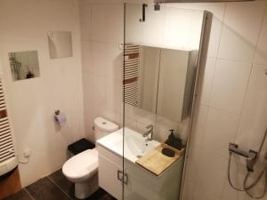 a bathroom with a toilet and a sink and a shower at Loft ViaRhôna, Grand loft en Centre-Ville in Lyon