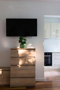 a tv on a wall in a kitchen with a plant at Przytulny Apartament w centrum Rabki in Rabka