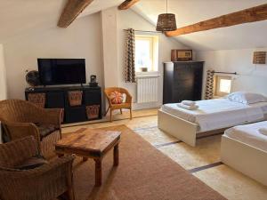 a bedroom with a bed and a tv and a couch at Mas la Provinciale in Malaucène