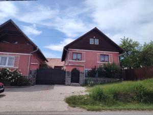 a red brick house with a black roof at Margit kulcsoshaz in Rareş