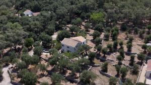 an aerial view of a house surrounded by trees at Villa Makris in Zenempisátika +18 photos