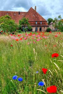 a field of flowers in front of a building at Scheunenloft Usedom-4, großzügige Familienoase, Hunde-freundlich mit riesigem Garten in Mellenthin