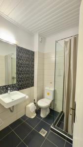 a bathroom with a toilet and a sink and a shower at Ponti Beach Hotel in Vasiliki