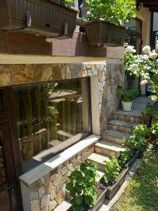 Zahrada ubytování Guest house Skabrin