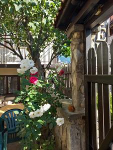 Zahrada ubytování Guest house Skabrin