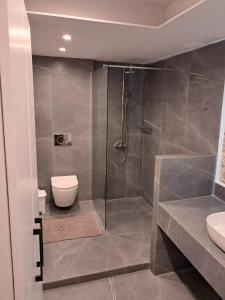 a bathroom with a shower and a toilet at Effies Aparments in Karlovasi