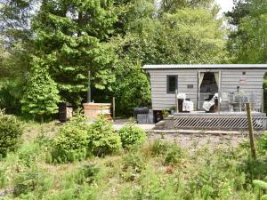 Κήπος έξω από το Spruce Shepherd's Hut +7 φωτογραφίες