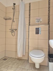 a bathroom with a toilet and a sink at Palanga S3 in Palanga