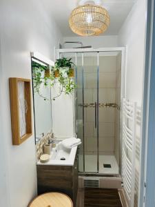 a bathroom with a shower and a sink and a mirror at Résidence Renan - Paris Porte de Versailles in Issy-les-Moulineaux