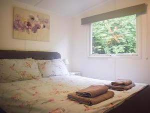 Ένα ή περισσότερα κρεβάτια σε δωμάτιο στο Daffodil Lodge-Uk34846