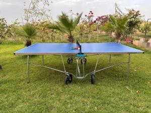 a ping pong table sitting in the grass at Peaceful Family Villa on a Farm with Private Pool and Stunning Mountain Views in Agadir