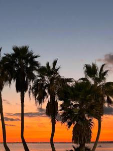 a group of palm trees on the beach at sunset at Apartamento vacacional playa in Almería