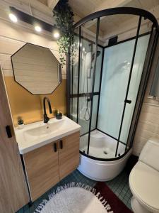 un bagno con doccia, lavandino e WC di Silver Homestay a Tõrvandi