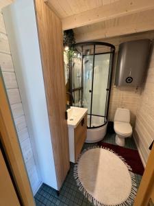 Koupelna v ubytování Silver Homestay