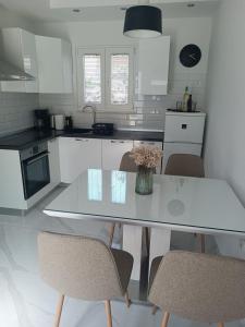 Kuchyň nebo kuchyňský kout v ubytování Apartman Mandi