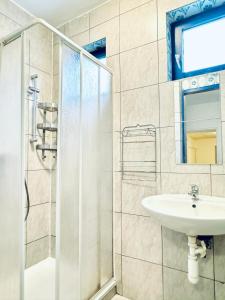une salle de bain avec lavabo et douche dans l'établissement Stylish 2BR apartment Direct City Access, à Vienne