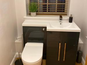 a bathroom with a toilet and a sink at Pointer Cottage in Preesall