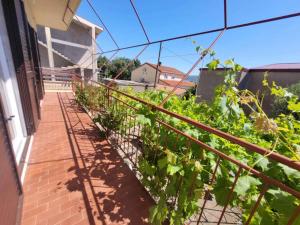 Zahrada ubytování Apartment in Starigrad-Paklenica 6806