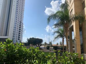 a palm tree in front of some buildings at PARADISE in IR YAMIM in Netanya