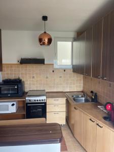 una cocina con fregadero y estufa horno superior en Iza-bella 2, en Brasov