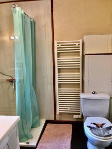 a bathroom with a toilet and a shower at Charmante maison à Jard sur mer sur la côte vendéenne in Jard-sur-Mer +9 photos