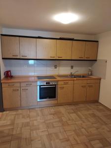 Η κουζίνα ή μικρή κουζίνα στο Apartment for recreation in the district of Děčín