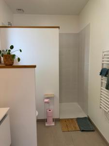 a bathroom with a shower stall and a toilet at L'escapade Landaise à 10 minutes des plages in Soustons +12 photos