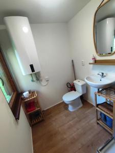un bagno con un water, un lavandino e uno specchio di Lesní chaty "Hogo Fogo" a Kytlice