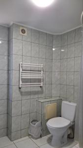 bagno con servizi igienici e cestino di Oskolok Dovbusha Mini-Hotel a Jaremče Altre 37 foto
