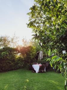 Κήπος έξω από το Le Relais d'Antoinette