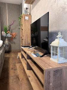 TV a/nebo společenská místnost v ubytování Mirka
