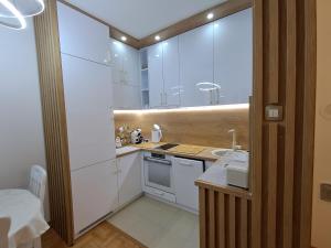 Kuchyň nebo kuchyňský kout v ubytování Apartman PETRA QUEEN + 14 fotografií
