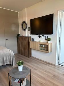 TV a/nebo společenská místnost v ubytování BergOne