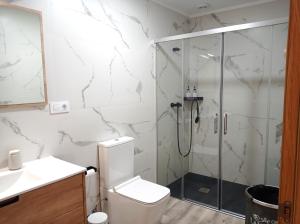 a bathroom with a shower and a toilet and a sink at LAR SANTIAGO Apartamentos y Dúplex - Parejas, Familias y Peregrinos in Santiago de Compostela