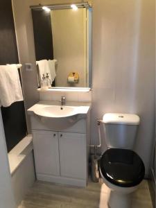 a bathroom with a toilet and a sink and a mirror at Les Hautes Loignieres in La Celle-sous-Gouzon