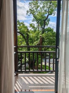 Balkon ili terasa u objektu Guilin Camphor Country House -Free pick up service