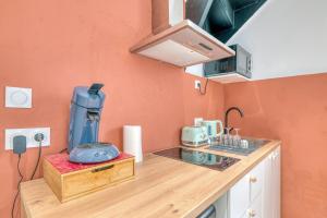 Køkken eller tekøkken på L'élégance Urbaine - Villeurbanne - Proximité Lyon + 5 billeder