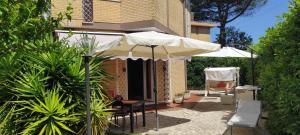 Κήπος έξω από το Villa Lido dei Pini 4 persone giardino 350mq wifi 3 chilometri dal mare