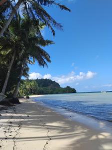 une plage avec des palmiers et l'océan dans l'établissement CORAL Retreat, à Rewasau
